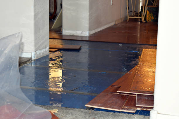 Professional Burst Pipe Cleanup technician working in Rushmore, MN